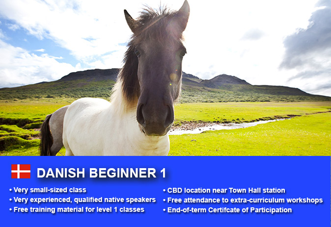 Affordable Danish Beginner 1 Course in Sydney CBD with small classes! Learn basic conversational proficiency over the 10-week course with free materials.