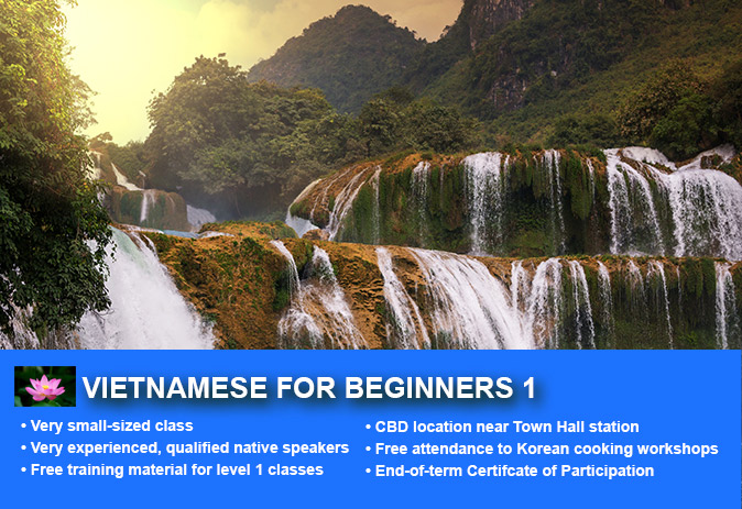 Affordable Vietnamese Beginner 1 Course in Sydney with small classes! Learn basic conversational proficiency over the 10-week course with free materials.