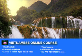 1- Vietnamese Online Course